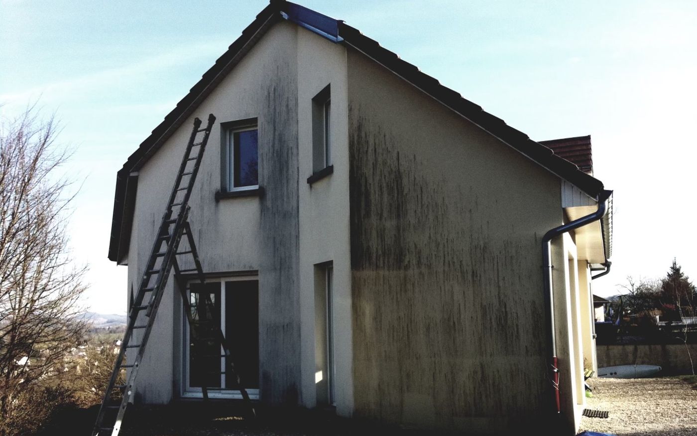 Façade avant traitement à Cousance